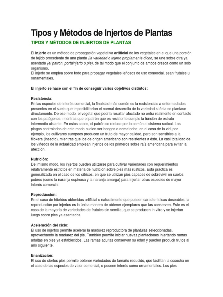Tipos de Injertos en Plantas | PDF | Injerto | Arboles