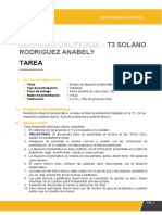 Actividad Calificada - : T3 Solano Rodriguez Anabely