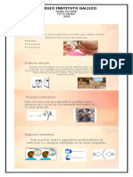 Trabajo Fisica y Quimica 5° PDF