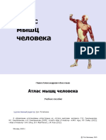 Atlas Myshts Cheloveka Vasilyev P A PDF