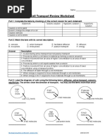 Handout - Cell Transport Review Worksheet