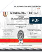 ALTURAS CARLOS ENRIQUE ARBOLEDA.pdf