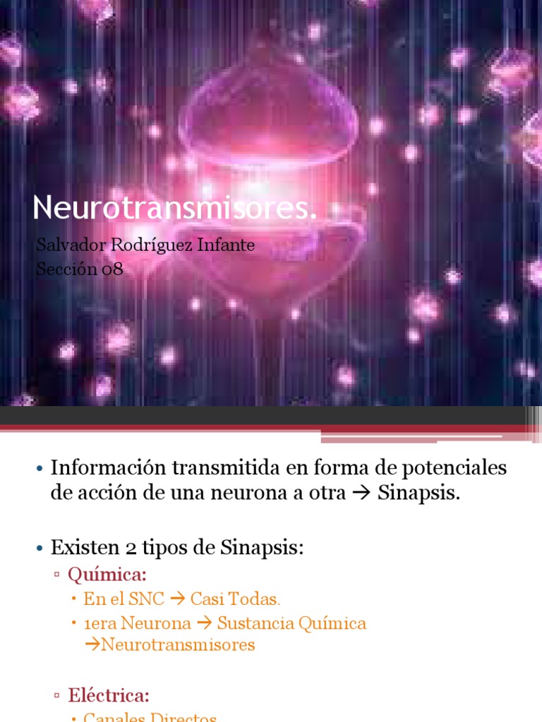 Neurotransmisores 2 | PDF | Sinapsis | Neurotransmisor