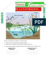 Los Seres de La Naturaleza para Primero de Primaria