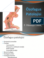 PTL04-not-özofagus, 2017-18 2014-15