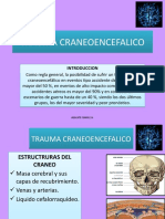 Trauma Craneoencefalico