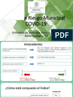 Indice Riesgo Municipal COVID19_SE20.pdf