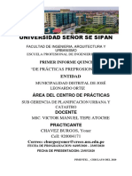 Primer Informe Quincenal PDF