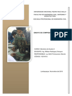 Informes Suelosii PDF