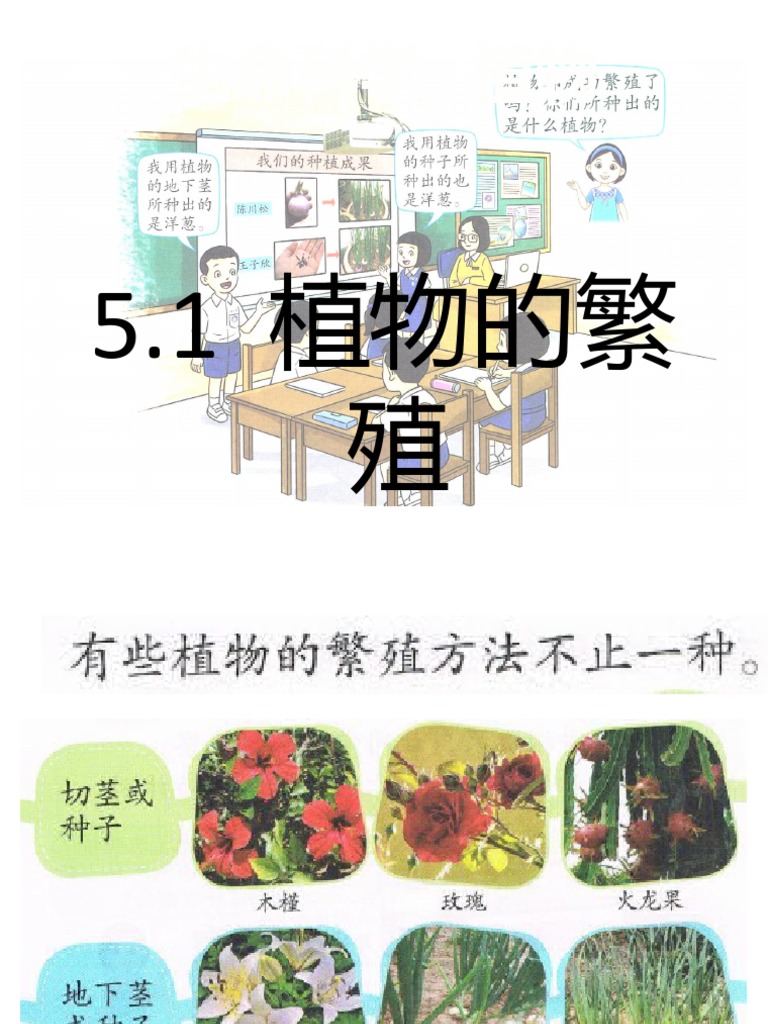 5 1植物的繁殖 Pdf