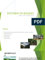 Disturbios en Bosques