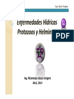 TA04-Enfermedades Hídricas - Protozoos