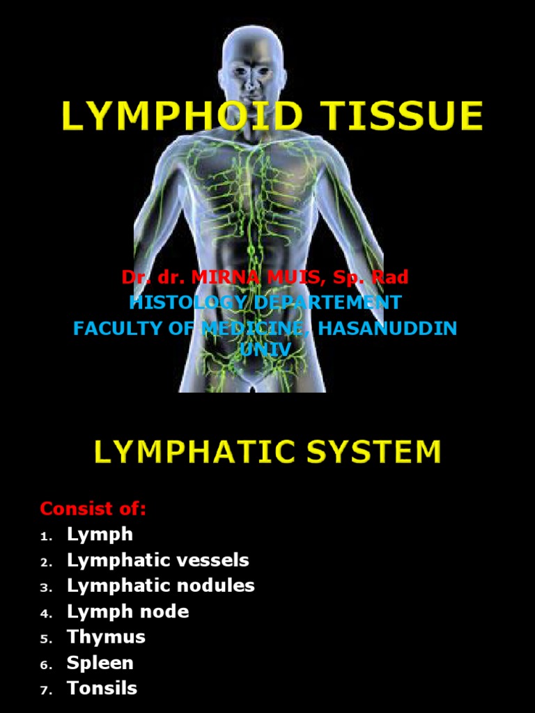 Histology Of Lymphoid Organ Pdf Pdf Lymph Node Lymphatic System