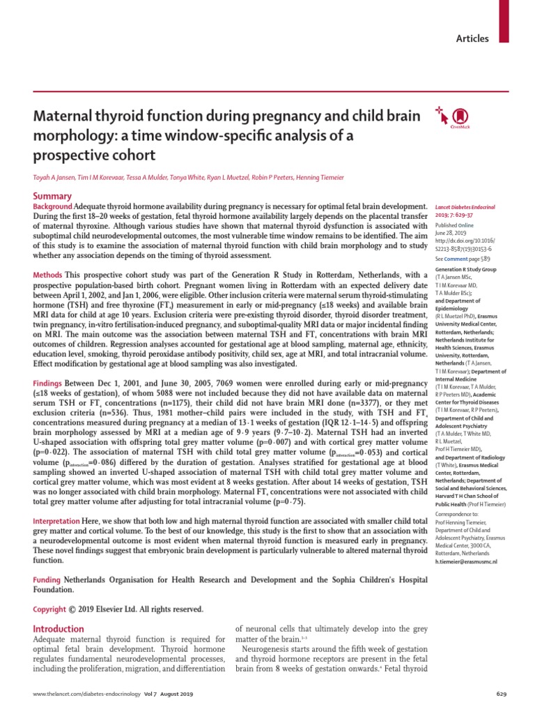 Maternal Thyroid Function During Pregnancy and Child Brain Morphology ...