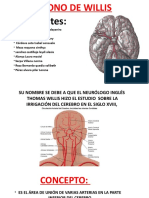 Poligono de Willis Diapositivas Arreglado