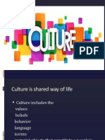 Culture ( Lecture 3)