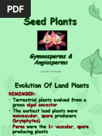 Seed Plants