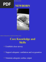 Download PALS - Newborn Resuscitation by Rich Adams SN46305894 doc pdf