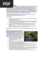 Download Volcanoes National Park Rwanda  Gorilla Tracking Lodges Accommodation Families Groups by Gorilla Safaris Rwanda SN46306740 doc pdf