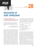 Regulation of Gene Expression From Lehninger - 4e PDF