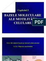 Capitolul 5: Bazele Moleculare Ale Motilităţii Celulare