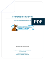Coprofagiaenperros PDF