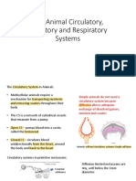 The Animal Circulatory, Excretory and Respiratory Systems