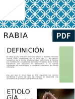 266378420-Rabia.pdf