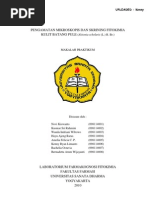 Download Pengamatan Mikroskopis dan Skrining Fitokimia Kulit Batang Pule Alstonia scholaris by Kenny Ryan Limanto SN46307779 doc pdf