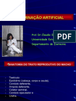 Inseminação Artificial