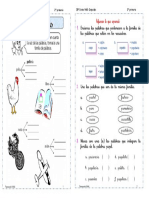 Tema 1 - Familia de Palabras - RV 2° PDF