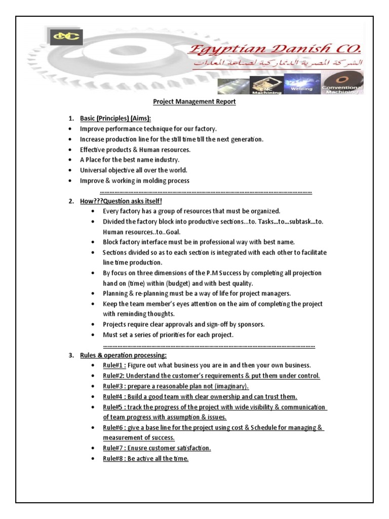 Project Management Success Strategies | PDF