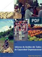 Informe de Análisis Del Índice de Capacidad Organizacional PDF