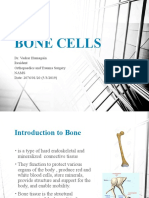 Bone Cells and Applied Anatomy