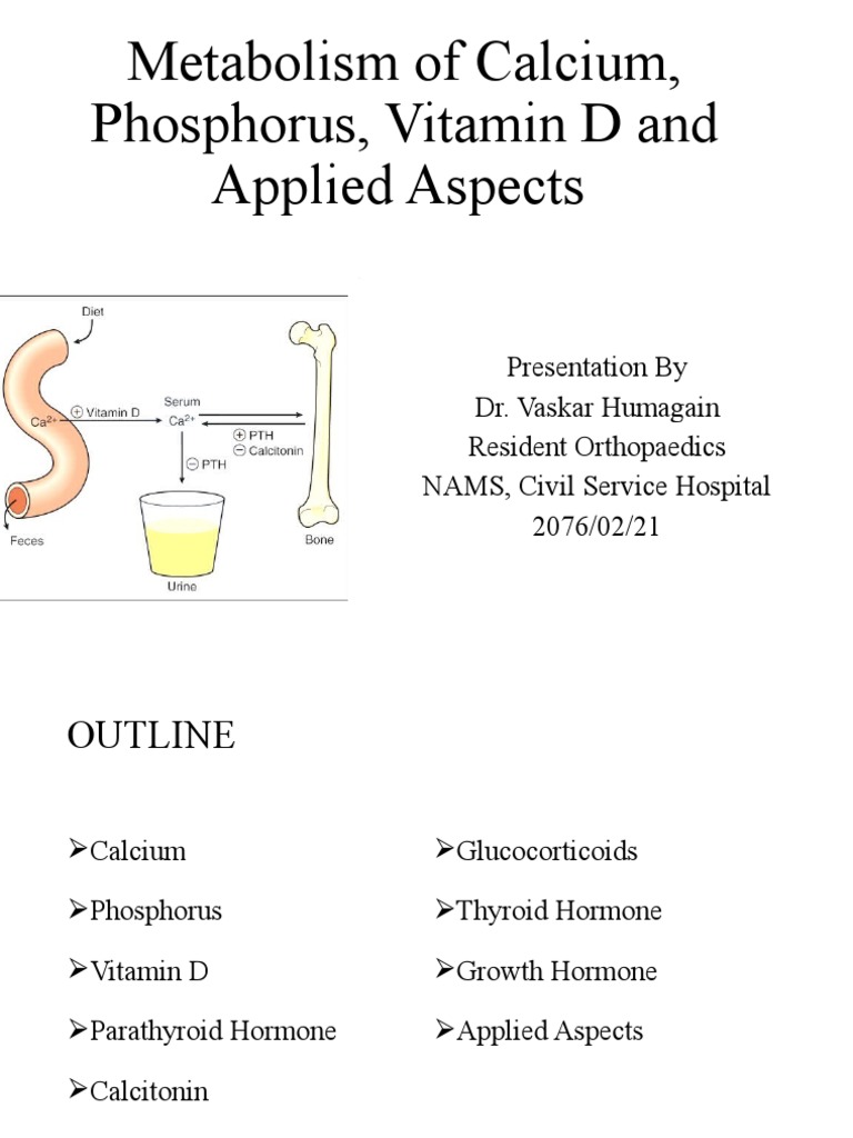 Calcium Vitamin D Metabolism | PDF | Bone | Vitamin D