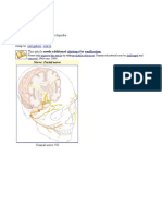 Facial Nerve: Navigation Search