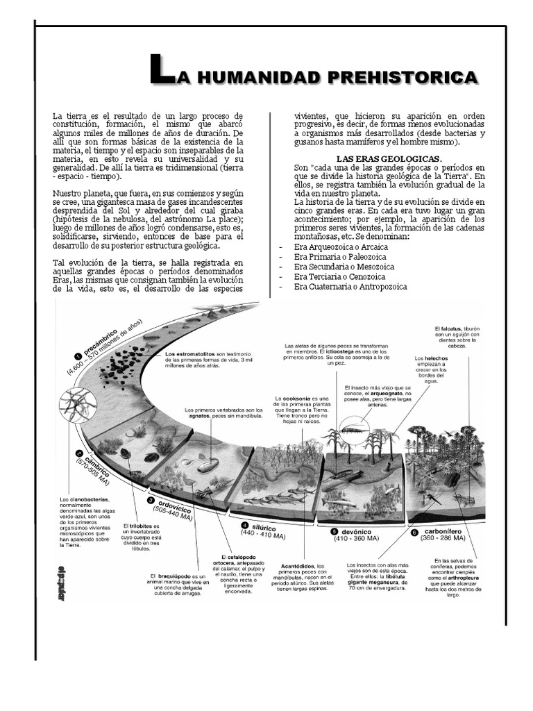 ANTROPOGENESIS | PDF | Evolución | Homo Sapiens