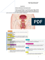 1 Guia Aparato Reproductor Masculino y Femenino