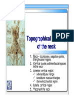 Topographical Anatomy of The Neck