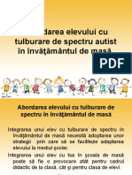 Abordarea_elevului_cu_tulburare_de_spect