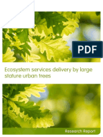 FRRP031 - Value of Big Urban Trees
