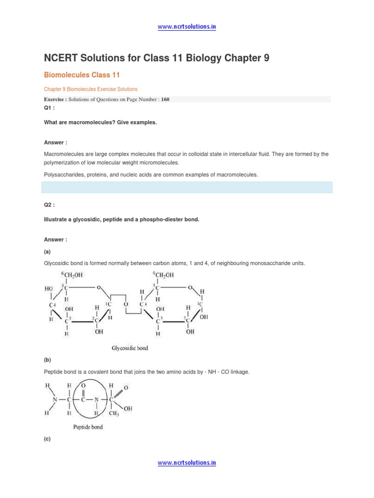 NCERT Solutions For Class 11 Biology Chapter 9 | PDF | Biomolecules ...