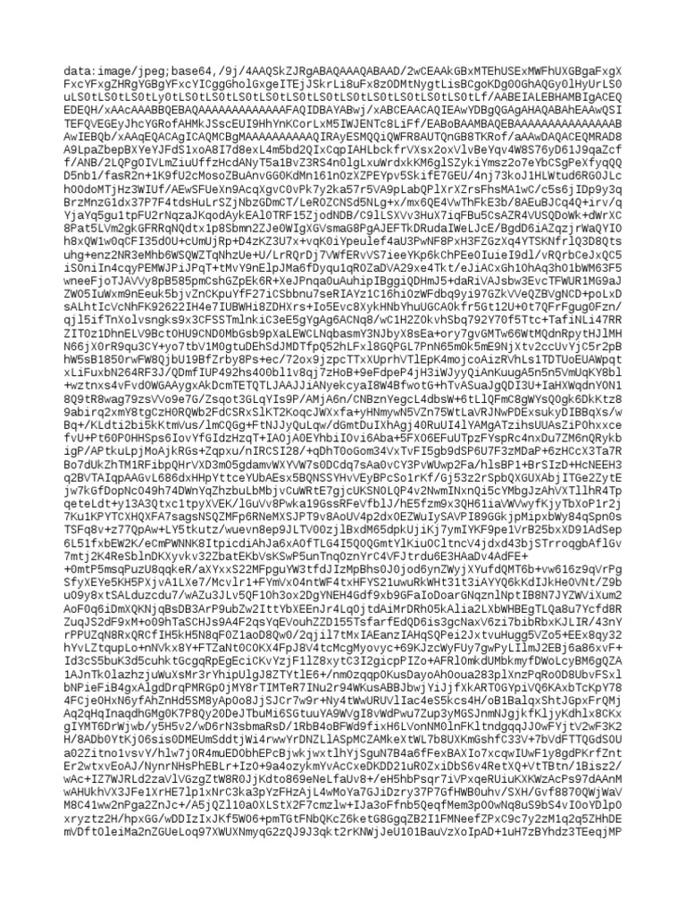 Image Data in Base64 Format | PDF