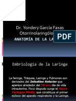Tema 5. Anatomía de La Laringe y Patologias