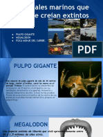 Animales Marinos Que Se Creian Extintos PDF