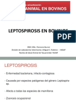 Leptospirosis Dra. Florencia Buroni PDF