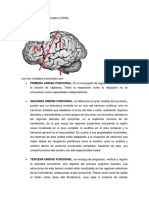 las unidades funcionales luria.pdf