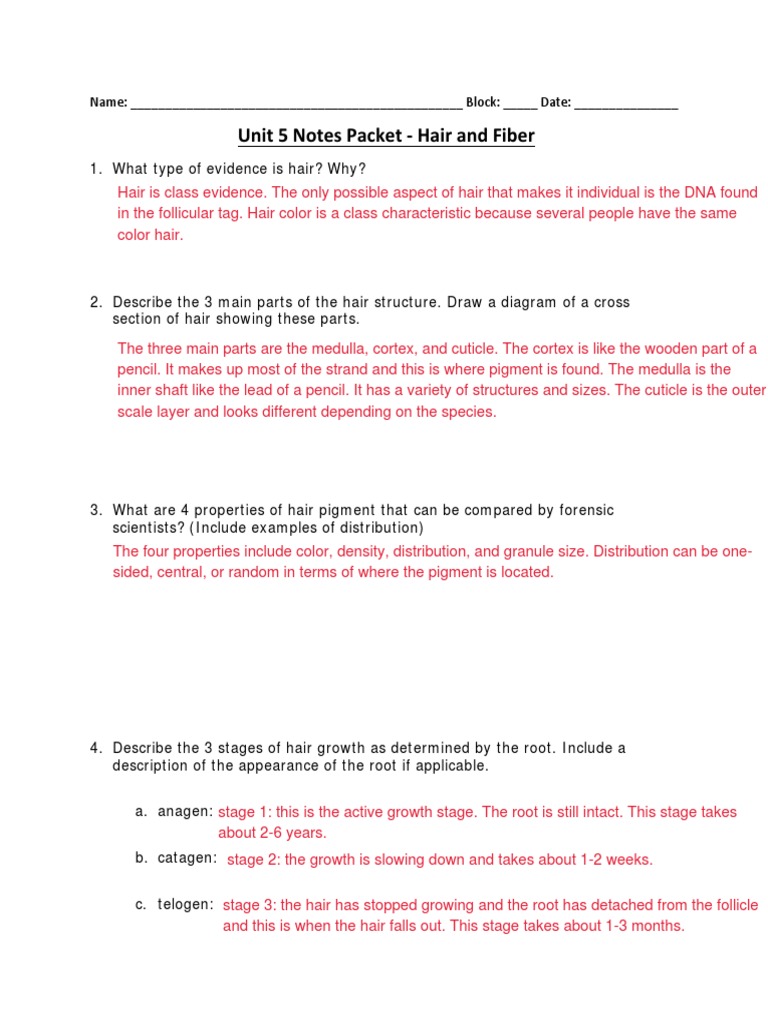 hair-and-fiber-notes-packet-key-pdf-hair-yarn