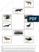 Biologia Animales de La Evolucoin PDF
