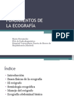 Bases de Ecografia, Definitivo